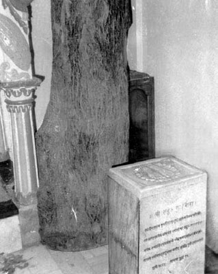 Padukas in Gurusthan Padukas in Gurusthan