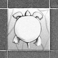 The tortoise tile The tortoise tile