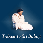 Tribute to Sri Babuji